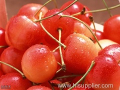 cherry tomato, organic fruit