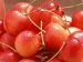 cherry tomato, organic fruit