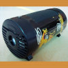 Cheap 30W cylindrical subwoofer car subwoofer speaker Y3