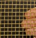 brass wire mesh brass wire cloth brass wire cloth for filter