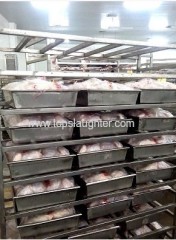Poultry processing plants equipment stainless steel meat plate