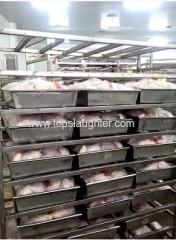 Poultry processing plants equipment poultry cart