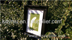 Desk frame,license frame,enviromental photo frame