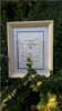 Ps photo frame 6&quot;x8&quot;,baby photo frame,picture frame,photo frame 4&quot;x6&quot;