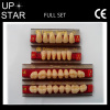 high quality muti-layer acrylic resin teeth with CE selling good in Europe