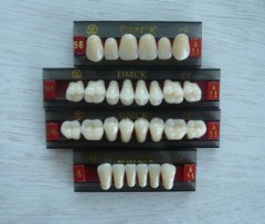 high quality muti-layer acrylic resin teeth with CE selling good in Europe