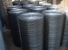 welded wire mesh electro-galvanized welded wire mesh welded wire netting