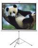 church tripod projector screen/home theater tripod projector screen