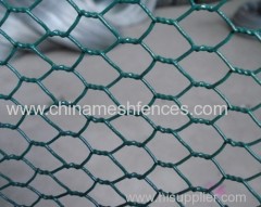 PVC coated hexagonal wire mesh /PVC coated chicken wire mesh