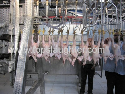 US poultry companies invited to apply for safety award