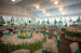 20m big wedding catering tent