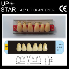 hot selling in europe acrylic teeth