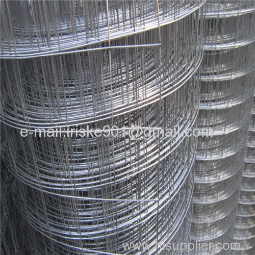 Hot dip galvanized welded wire mesh