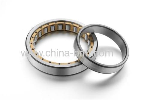 One -Set Cylindrical Roller Bearing SL18 2920