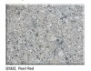 Polished Natural Pearl Red Granite