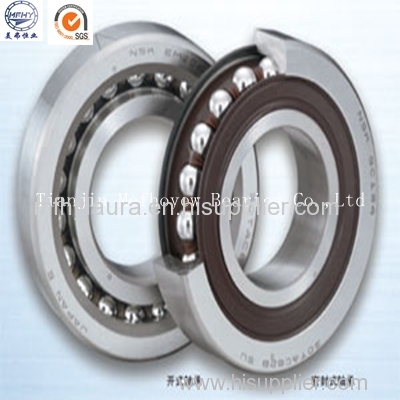 Thrust Ball Bearing 51124/Ball Bearing 51124/ Bearing 51124