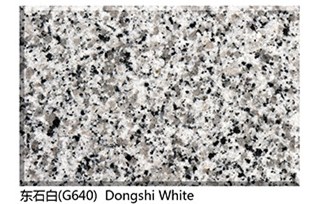 Polished Dongshi White Granite