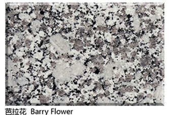 Natural barry flower granite tile