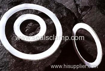 PTFE jacketed seals gasket