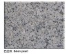 Natural Balan Pearl granite
