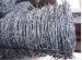 BWG13*14 barbed wire electro-galvanized barbed wire barbed wire fence barbed wire fencing