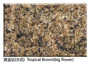 Natural Polished Granite Tropical Brown Slab big flower