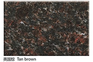 Polished Tan Brown Granite