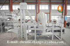 Hot sale pumpkin seeds dehuller or sheller