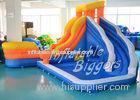 Outdoor Inflatable Backyard Pool Water Slide Climbing For Family , Fire-Resistant