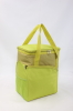 Cooler Bags For BBQ Parties-HAC13093
