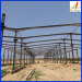 high rise steel structure building