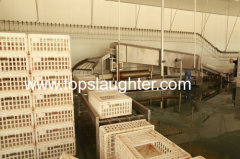 Food Processing Equipment Abattoir Equipment