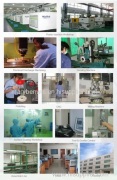 Dongguan Benwis Plastic Products Co., Ltd.