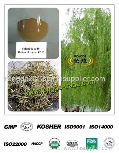 10%-98% Salicin powder health care