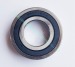 Inch Bearing/Deep Groove Ball Bearing 202NPP9