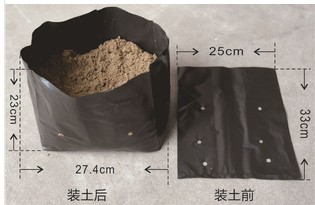 Black plastic plant Nursery poly bags grafting plants bag pot plastic bag non woven natural Bag Fabric ECO BAG