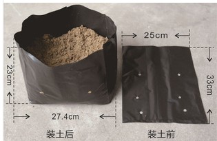 black poly bags