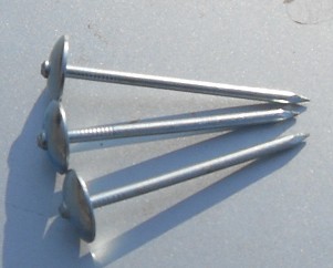 umbrella head roofing nail
