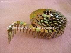 Common coiled nails for sale