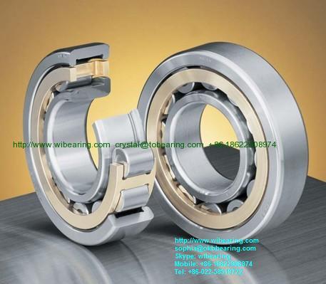 Original NACHI N1015 Cylindrical Roller Bearing SKF NSK NTN FAG INA NACHI KOYO TIMKEN THK N1015