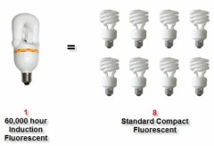 23-60W Compact Induction Bulb