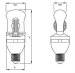 Self Ballasted Induction Lamp