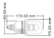 23-60W Compact Induction Bulb