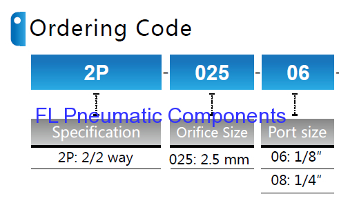 2P025-08 Solenoid Valve