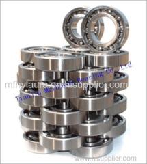 6301zz Deep Groove Ball Bearing/6302zz Bearing