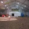 Party Hall Tent c