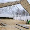 Clear Span Tents For Plant