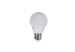 E14 Base Global LED Candle Bulb Lamp