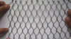 (100% factory)bird enclosure\zoo stainless steel rope netting