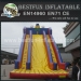Smiling Clown Commerical Inflatable Slide